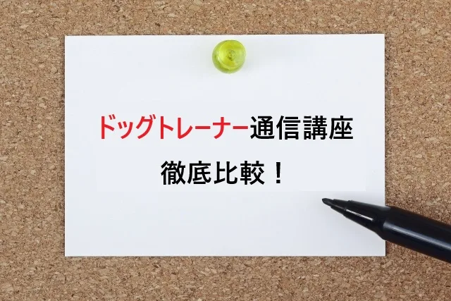 【2025年版】ドッグトレーナー通信講座を徹底比較！初心者でもわかる選び方ガイド