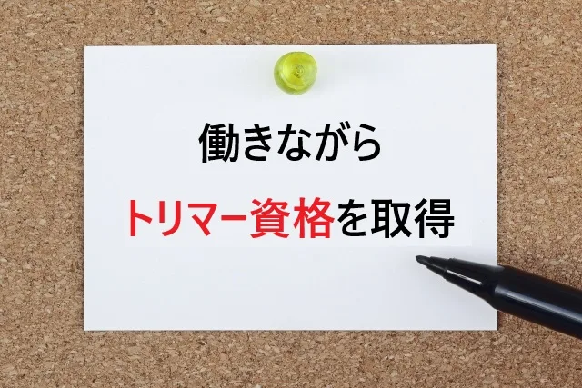 働きながらトリマー資格を取得する完全ガイド｜社会人でも無理なく学べる方法とは