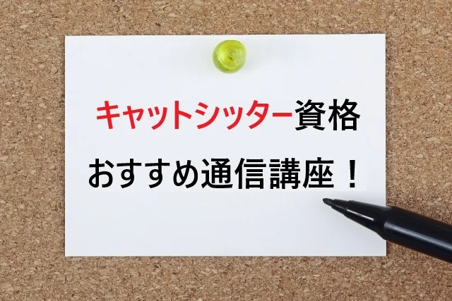 キャットシッター資格を徹底比較！取得方法とおすすめ通信講座2025年版