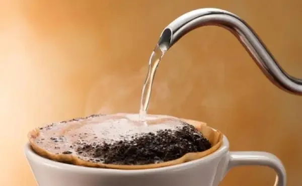 コーヒースペシャリスト